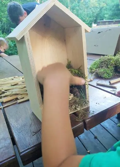 Jak zrobić domek dla owadów