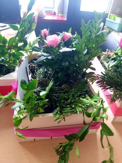 kwietnik drewniana skrzyneczka